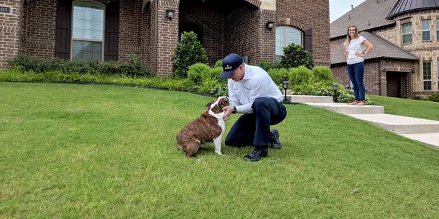 Moxie Pest Control — photo from the business 1