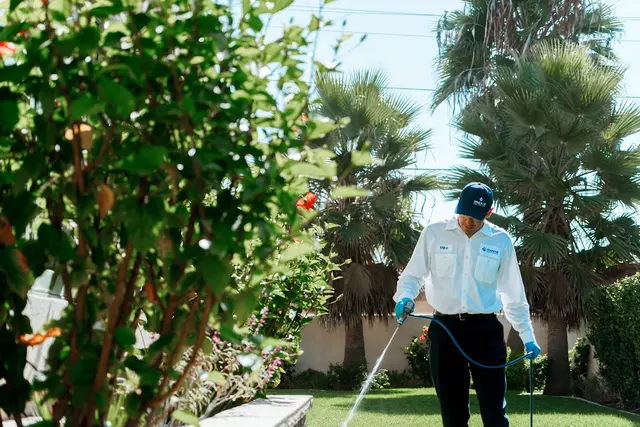 Moxie Pest Control — photo from the business 3