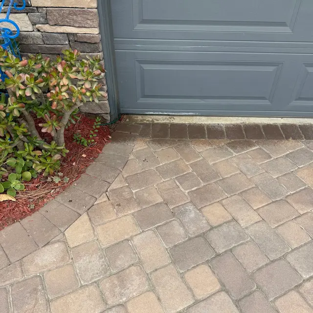 Old Towne Termite and Pest Control — photo from the business 12