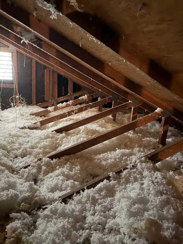 Old Towne Termite and Pest Control — photo from the business 11