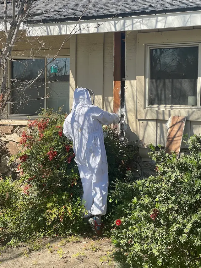 Old Towne Termite and Pest Control — photo from the business 2