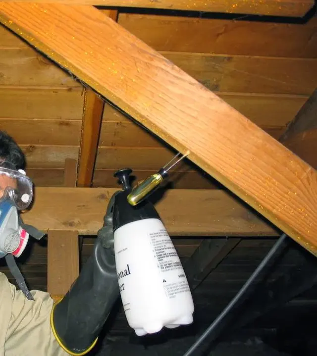 Quantum Termite and Construction, Inc. — photo from the business 7
