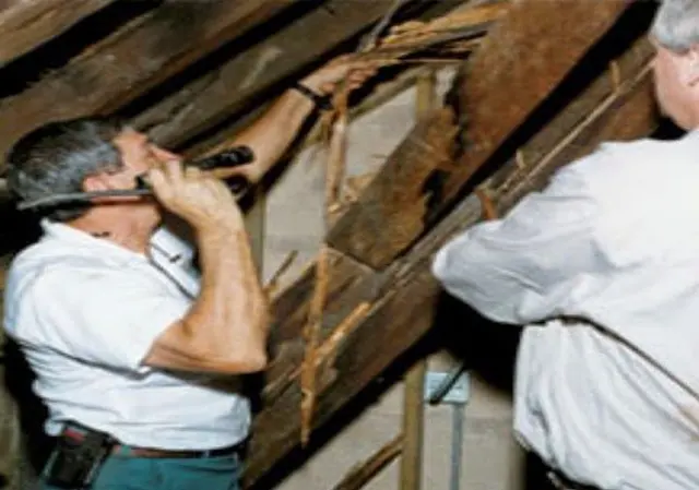 Quantum Termite and Construction, Inc. — photo from the business 9