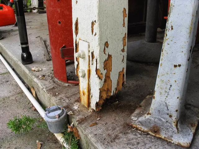 Quantum Termite and Construction, Inc. — photo from the business 8