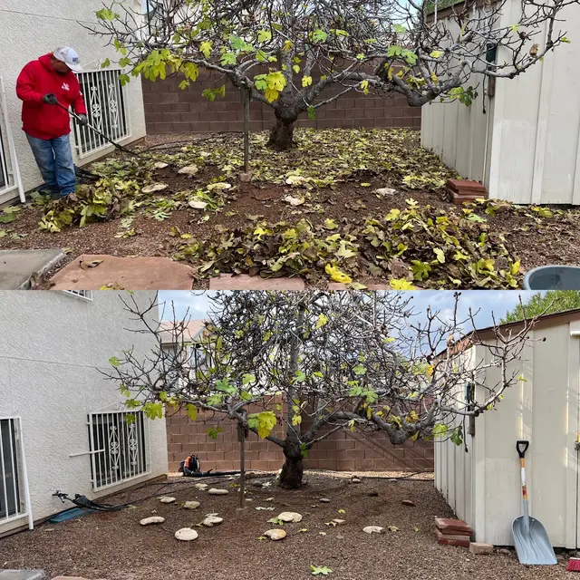 Augusta Lawn Care and Landscape Maintenance — photo from the business 9