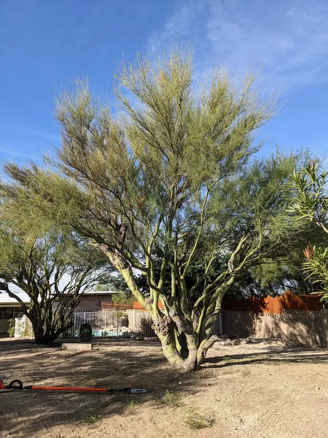 Augusta Lawn Care and Landscape Maintenance — photo from the business 10