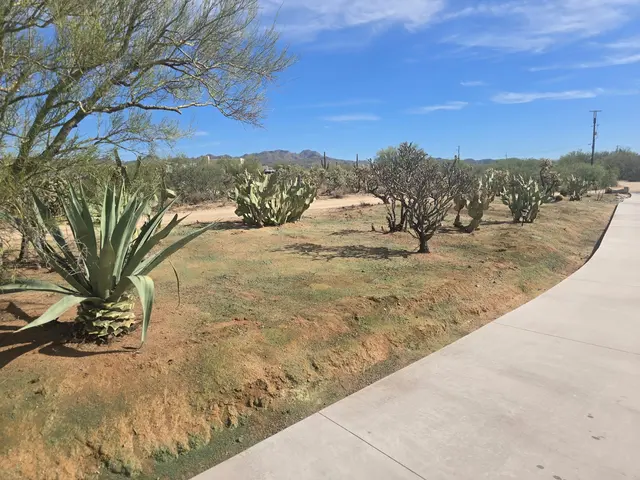 Joe's Yard, Tree, & Irrigation — customer photo 10