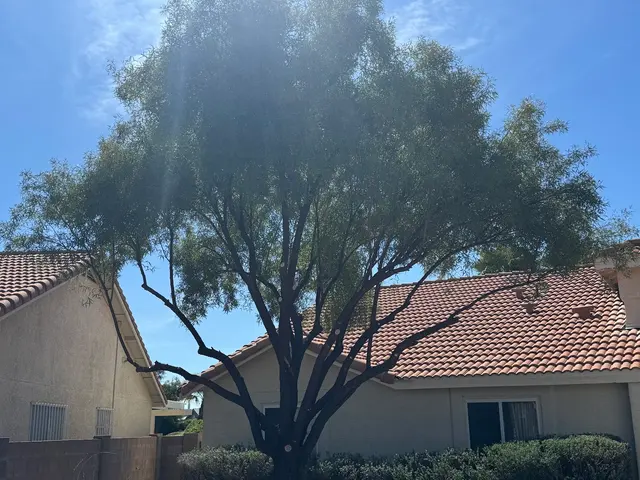 Joe's Yard, Tree, & Irrigation — customer photo 9