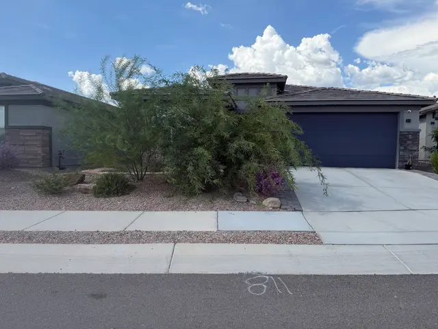 Joe's Yard, Tree, & Irrigation — customer photo 3