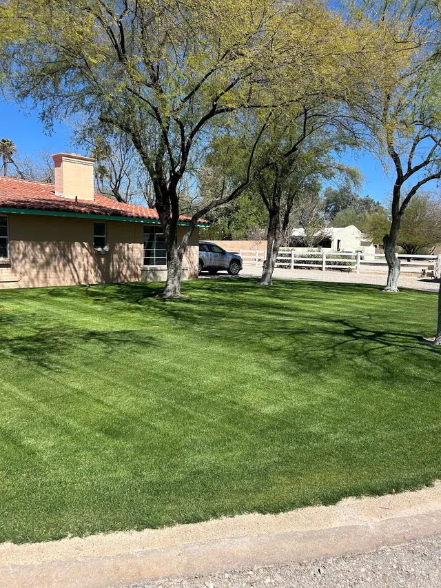 WeedCo; Weed Control & Pest Control — photo from the business 5