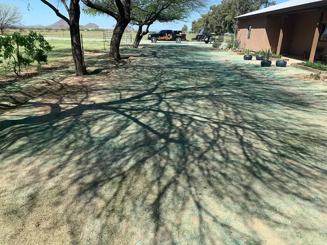 WeedCo; Weed Control & Pest Control — photo from the business 8