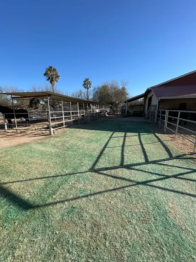 WeedCo; Weed Control & Pest Control — photo from the business 11