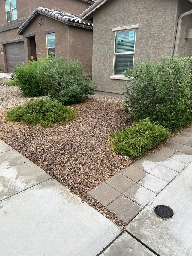 AAA Mammoth Tree & Landscaping — customer photo 6