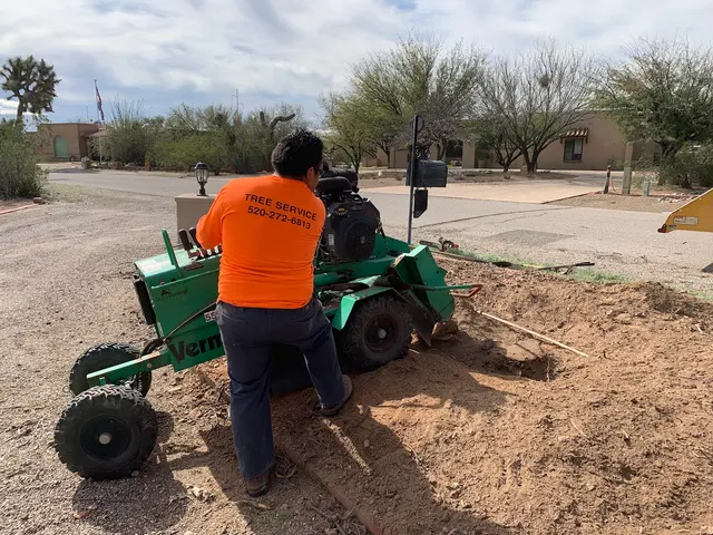 AAA Mammoth Tree & Landscaping — photo from the business 7