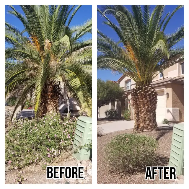 G and G Yard Care, LLC — photo from the business 6