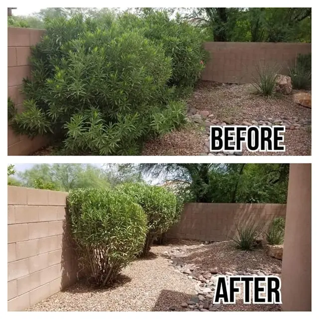G and G Yard Care, LLC — photo from the business 10