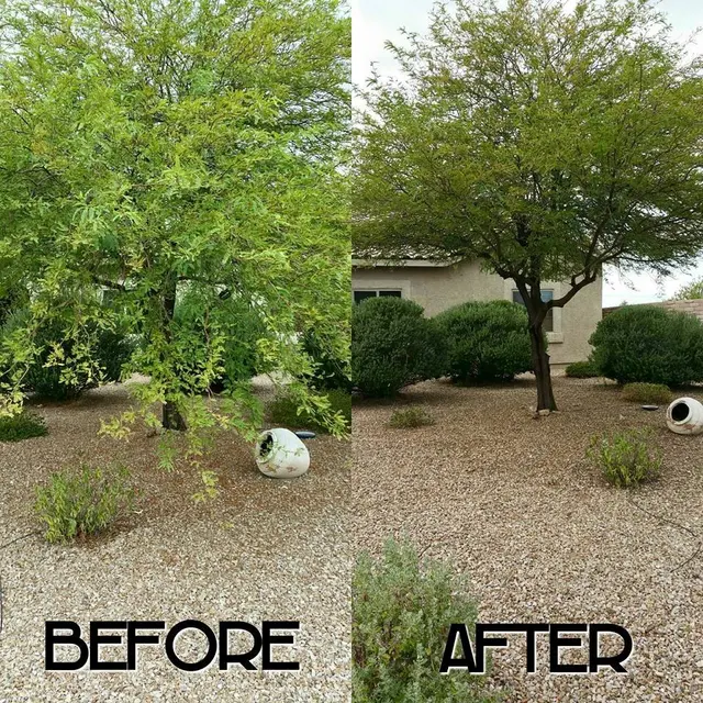 G and G Yard Care, LLC — photo from the business 12