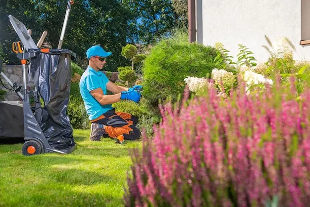 Arizona Sunset Landscaping — photo from the business 5