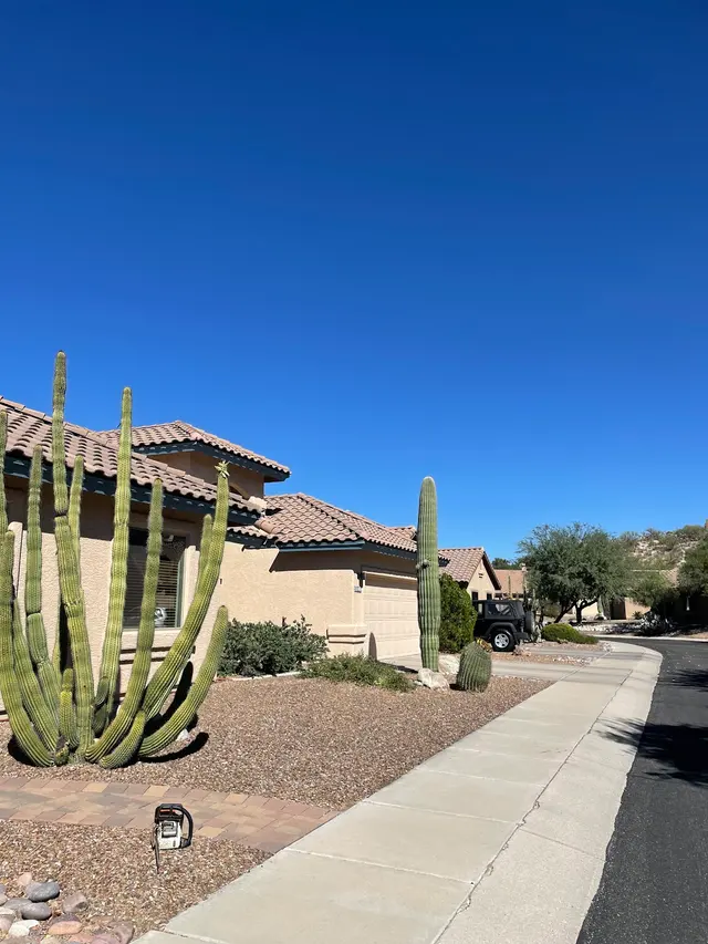 Arizona Sunset Landscaping — photo from the business 8