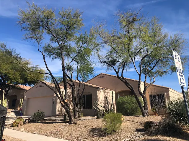 Arizona Sunset Landscaping — photo from the business 6