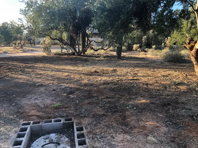 Arizona Sunset Landscaping — photo from the business 7