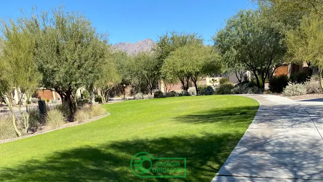 CDK Design LLC dba Arcadia Landscape — photo from the business 5