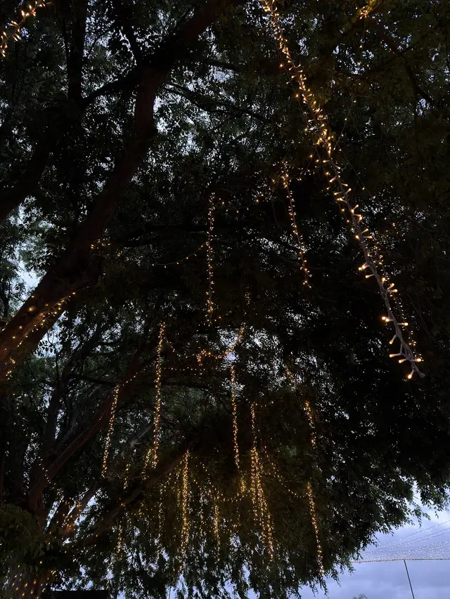 Customer photo of work by SYNX EVENTS, from Patricia Salcido's review