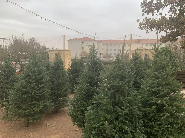 Parks Legado Town Center — photo from the business 6