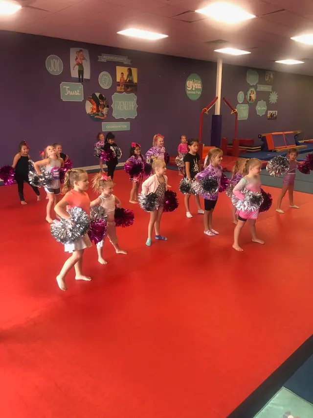The Little Gym of Midland — photo from the business 7