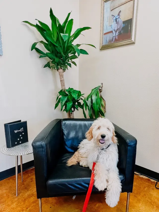 Pecan Acres Pet Care — photo from the business 2