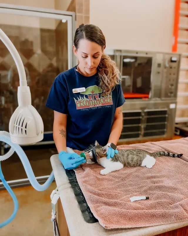 Pecan Acres Pet Care — photo from the business 3