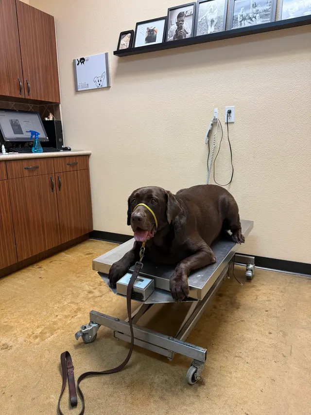Pecan Acres Pet Care — customer photo 8