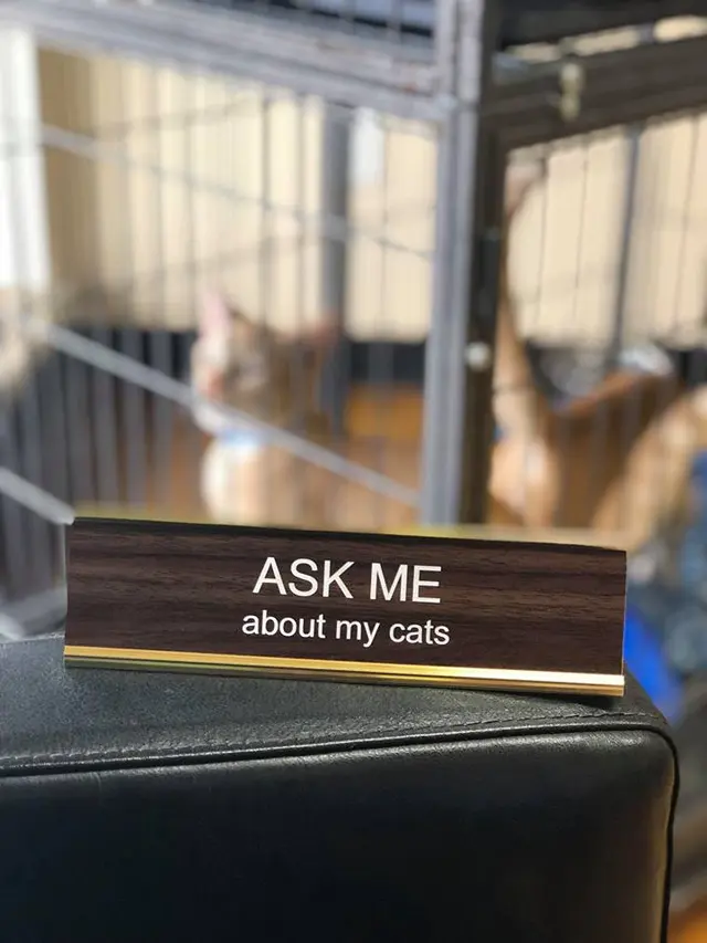 Pecan Acres Pet Care — photo from the business 9
