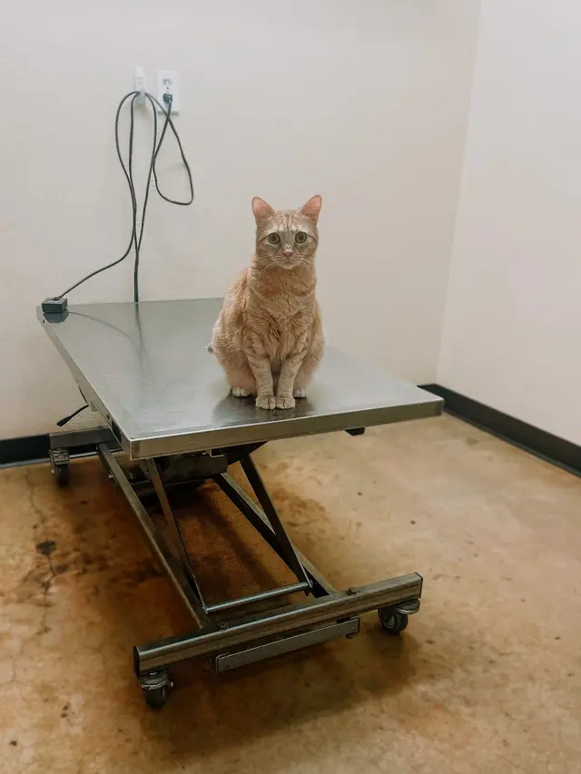 Pecan Acres Pet Care — photo from the business 7