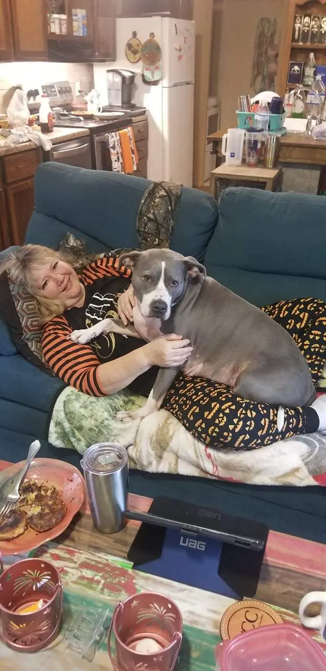 Hope Animal Hospital — customer photo 11