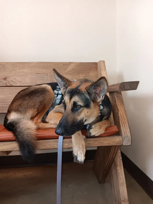 Hope Animal Hospital — customer photo 7