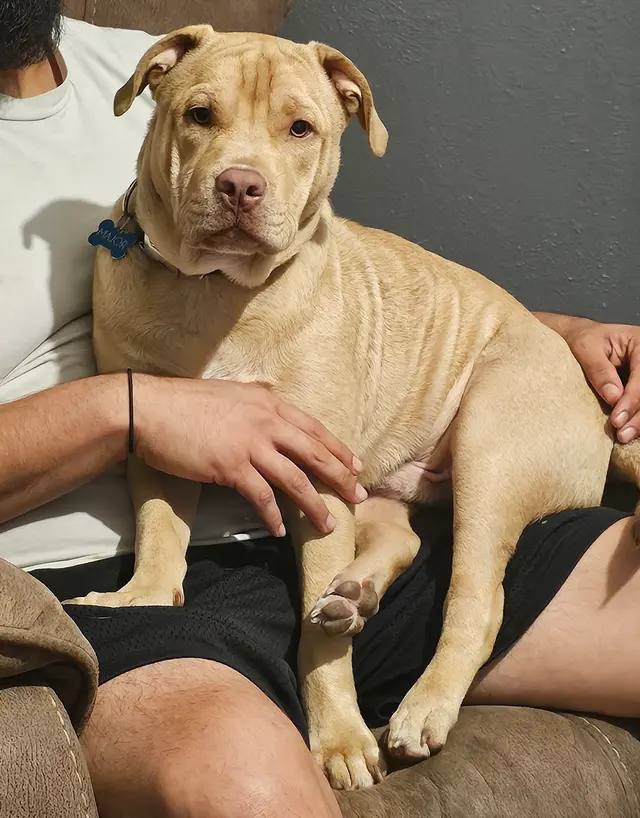Hope Animal Hospital — customer photo 12