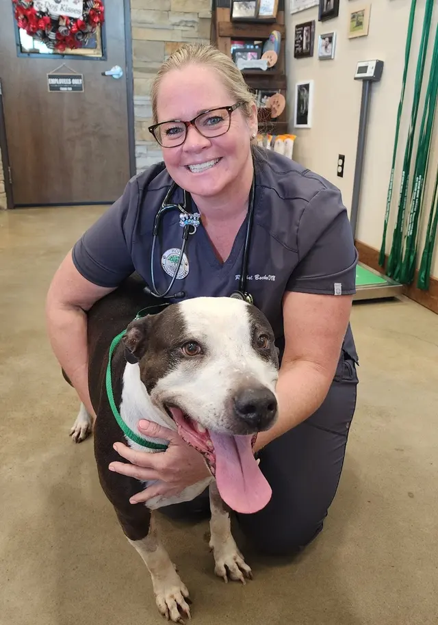 Hope Animal Hospital — customer photo 3