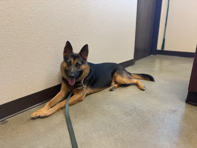 Hope Animal Hospital — customer photo 5