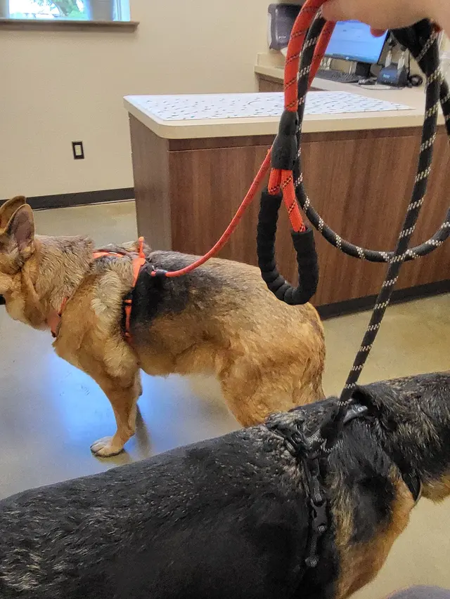 Hope Animal Hospital — customer photo 4