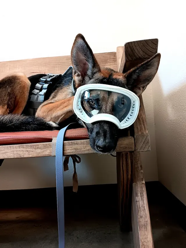 Hope Animal Hospital — customer photo 2