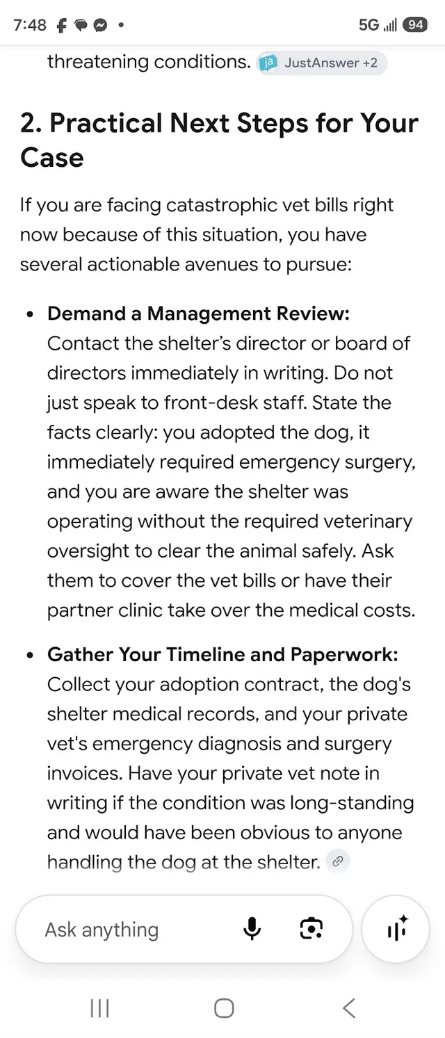 Customer photo of work by Freeport Veterinary Medical Center, from FERYN K's review