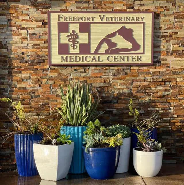 Freeport Veterinary Medical Center — photo from the business 1