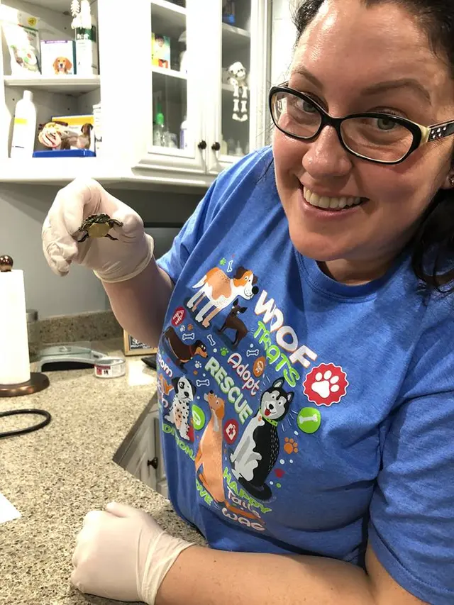 Freeport Veterinary Medical Center — photo from the business 10