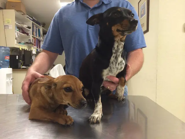 Freeport Veterinary Medical Center — photo from the business 2