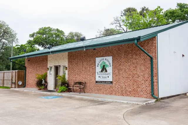 Brazos Woods Veterinary Clinic — photo from the business 5