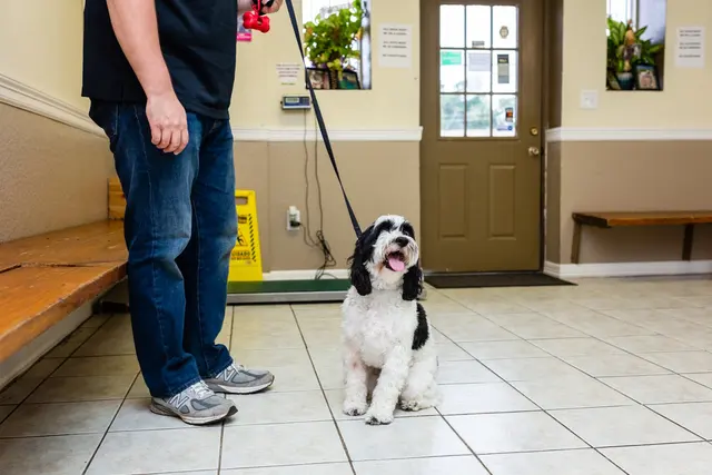 Brazos Woods Veterinary Clinic — photo from the business 6