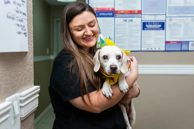 Brazos Woods Veterinary Clinic — photo from the business 8