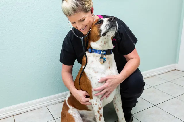Brazos Woods Veterinary Clinic — photo from the business 1