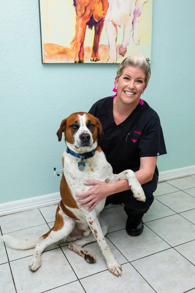 Brazos Woods Veterinary Clinic — photo from the business 3
